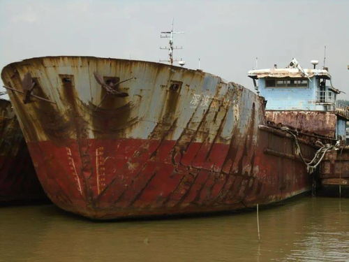 國際船舶運輸市場動態 運泥船‘深浚駁001’等船舶拍賣信息解析